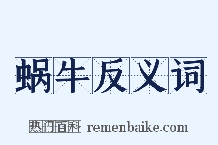 蜗牛反义词是什么意思的图片